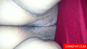 Pornô Adulto XNXX